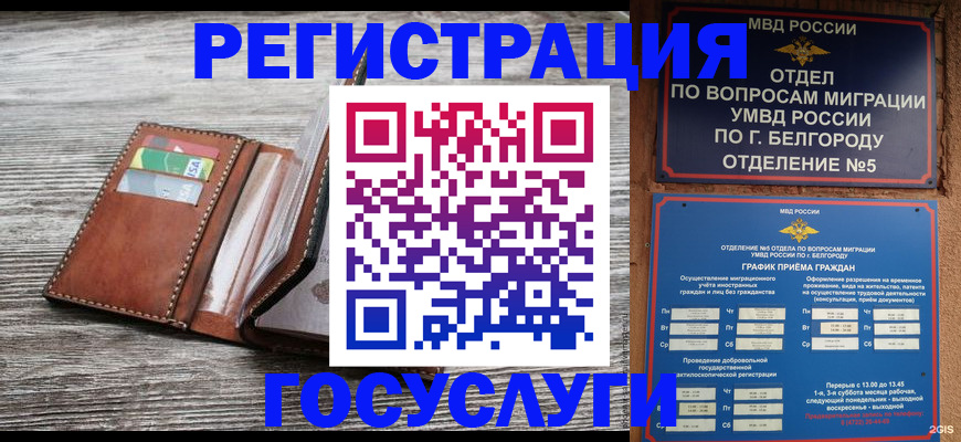 временная регистрация гарантия в Порхове